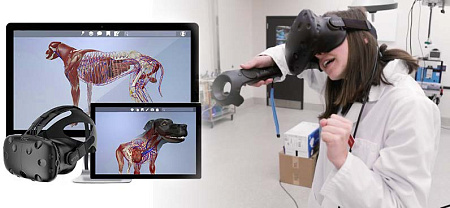 Виртуальный учебный комплекс «Тренажер ветеринарного врача»