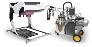 Интерактивный комплекс «Отработка навыков доения КРС»